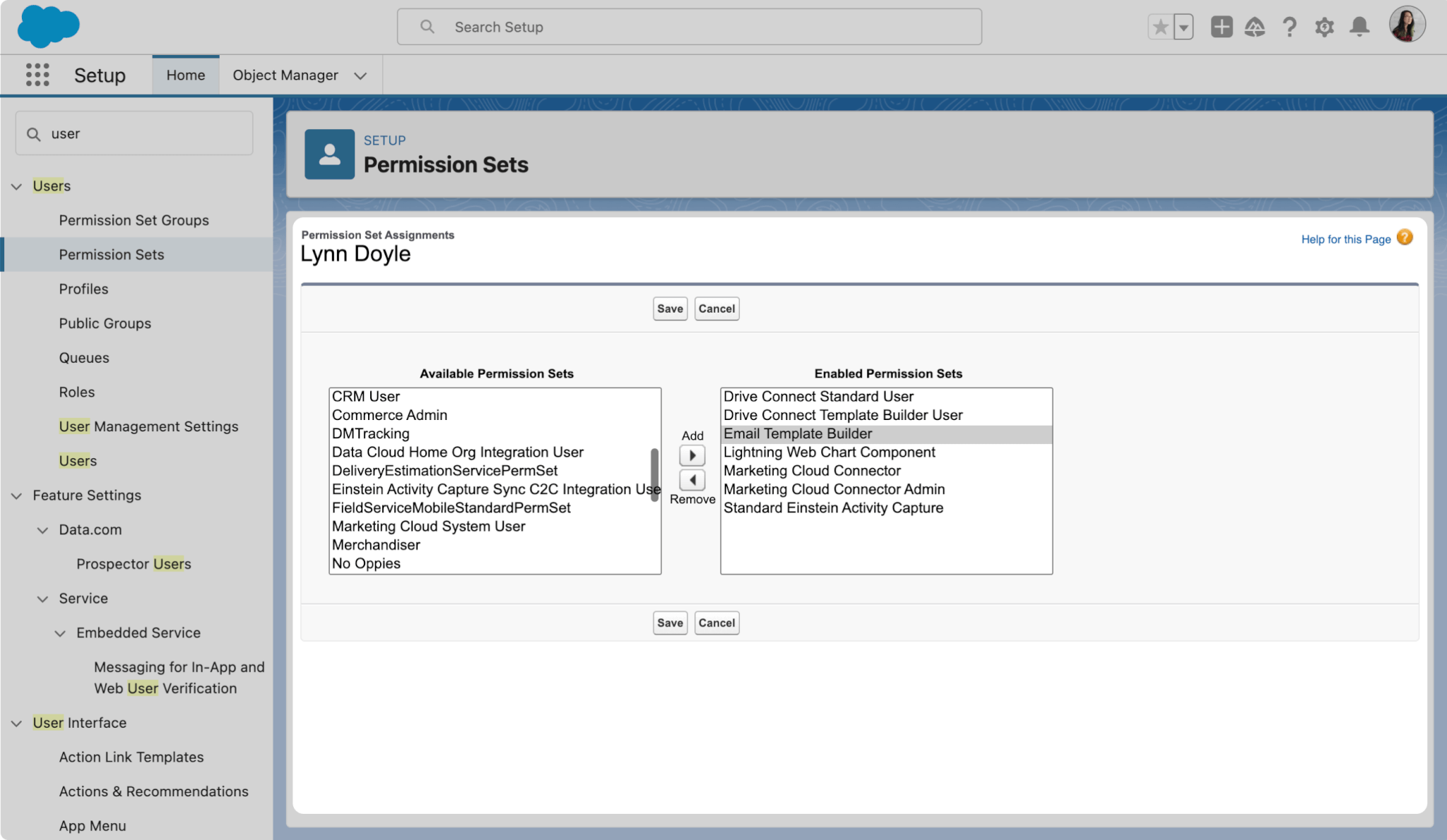 Salesforce permission set assignment screen