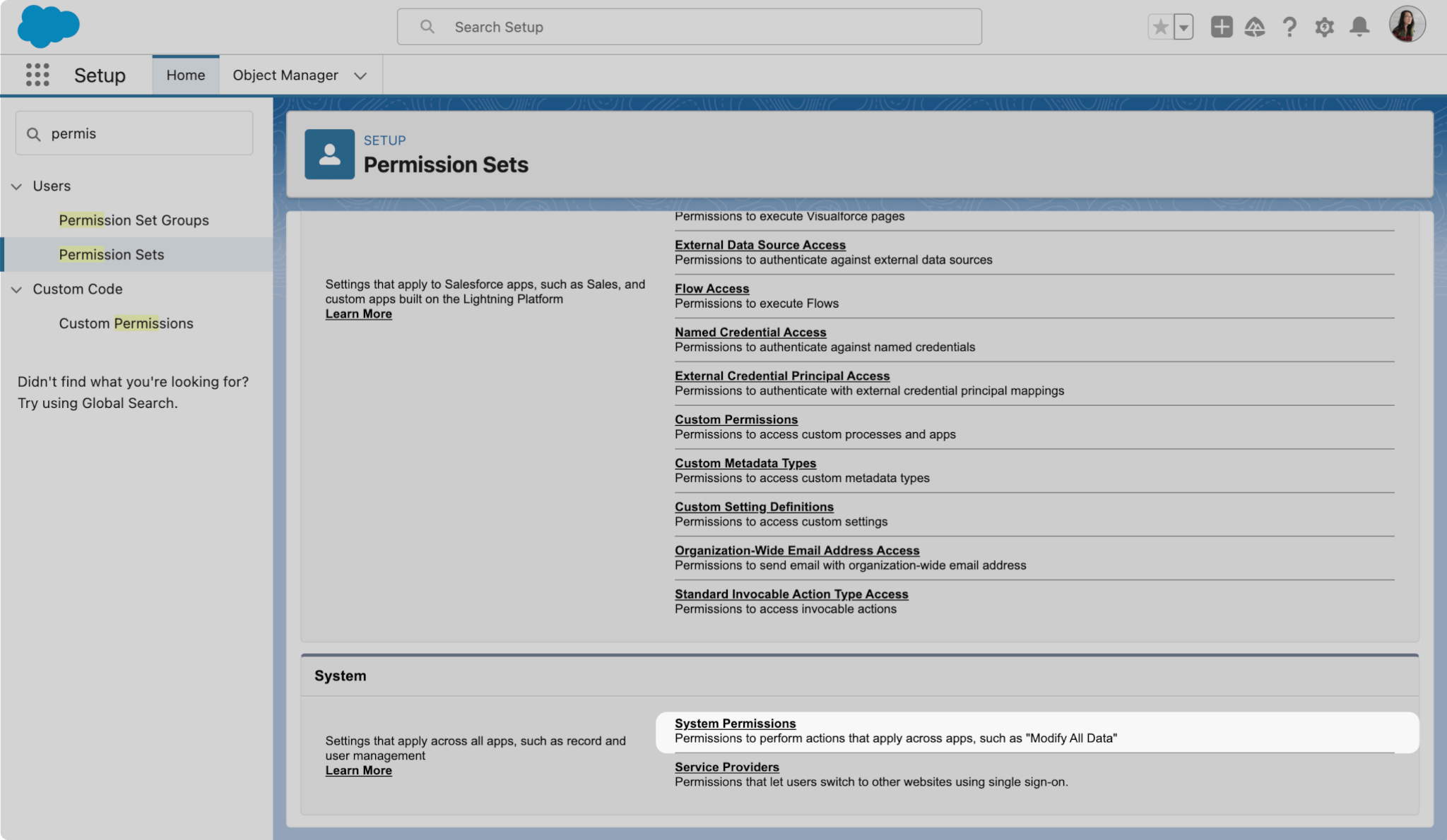 System Permissions options highlighted within Permission Sets edit screen